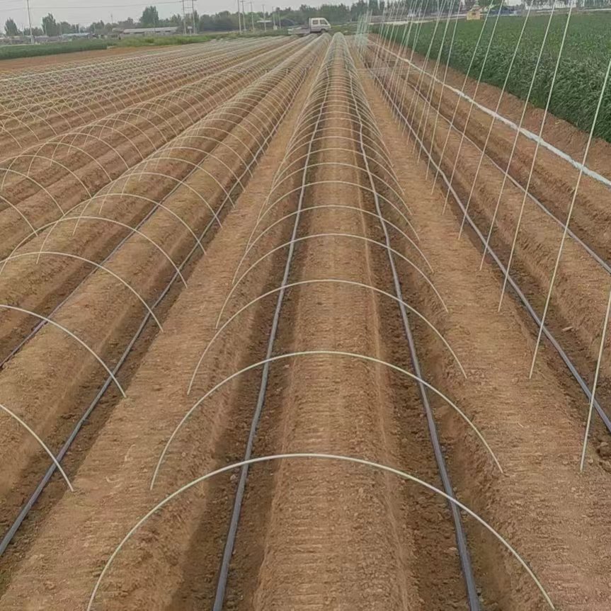 菜地育苗棚农用玻璃纤维杆蔬菜大棚小拱棚支架实心支撑杆拱杆